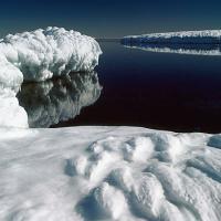 antarctic11x