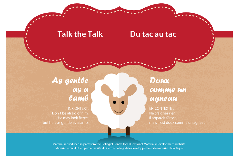 Talk the talk: As gentle as a lamb