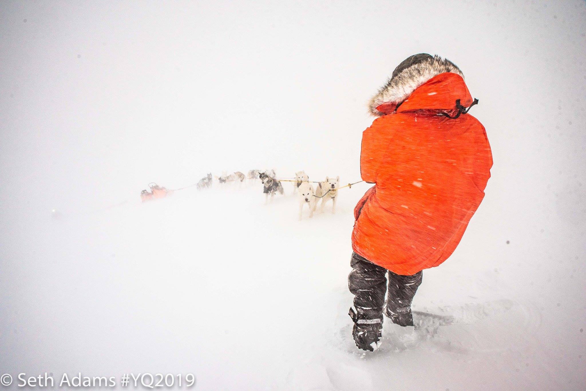 Yukon Quest Musher